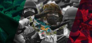 Más allá de la Guardia Nacional